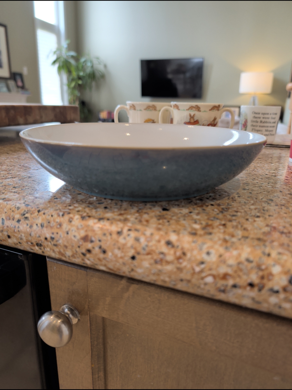 Denby Azure Pasta Bowl